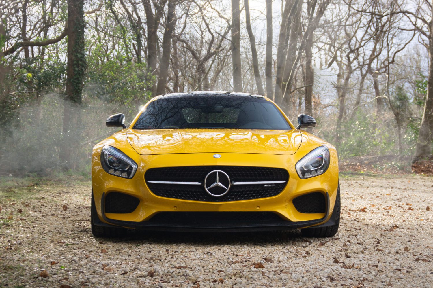 87F4D291-A9C2-4FB4-A744-8469A5643A1C